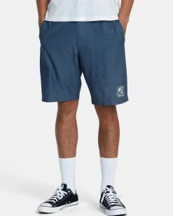 RVCA ALL TIME HEMP HYBRID 19